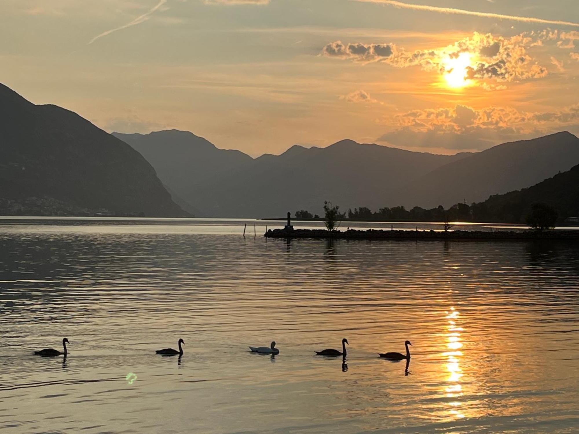 Lake View Terrace Paratico Εξωτερικό φωτογραφία